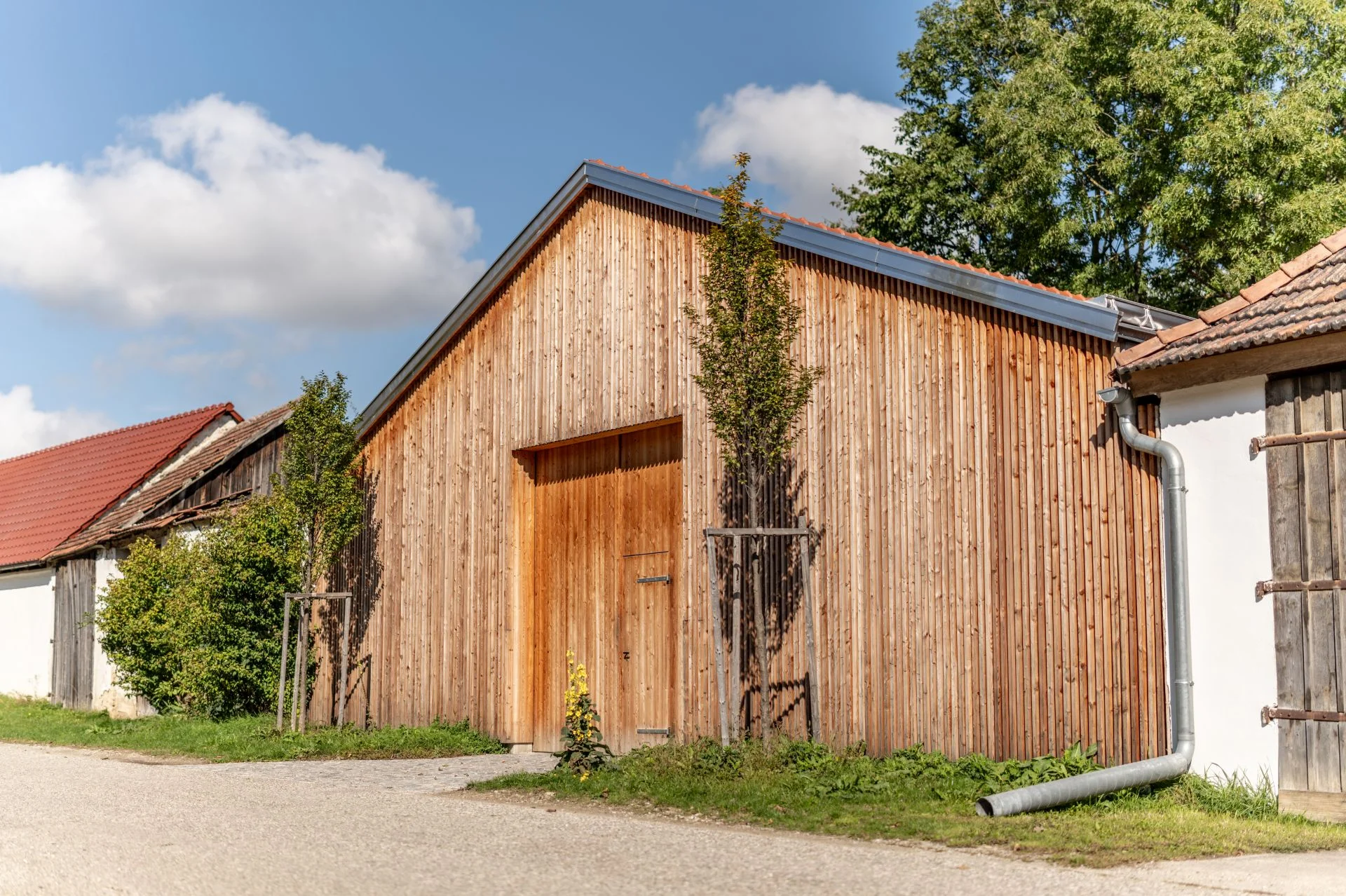 Calas-Reiberger-Weingut-Schuster-003